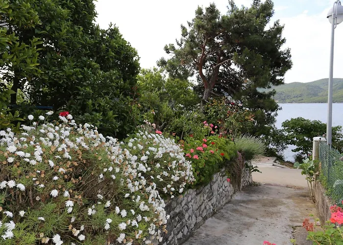 10116d Apartamento *